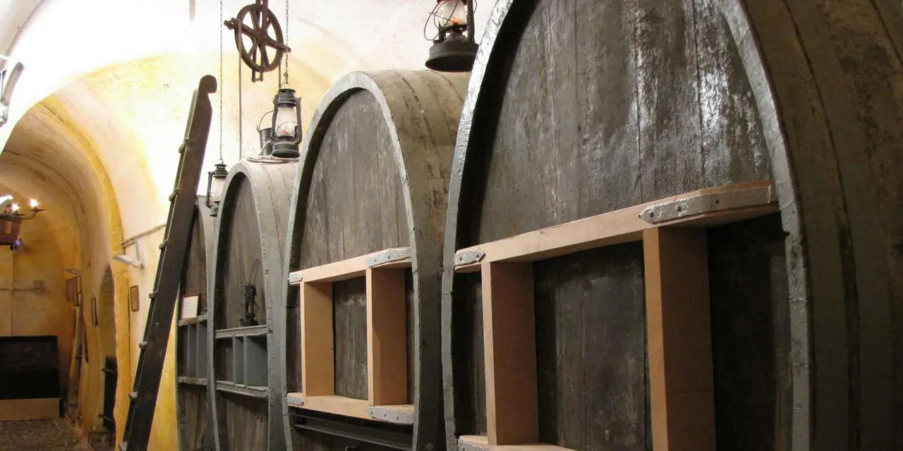 Rows of huge old wooden wine barrels in a vaulted, lantern-lit cellar