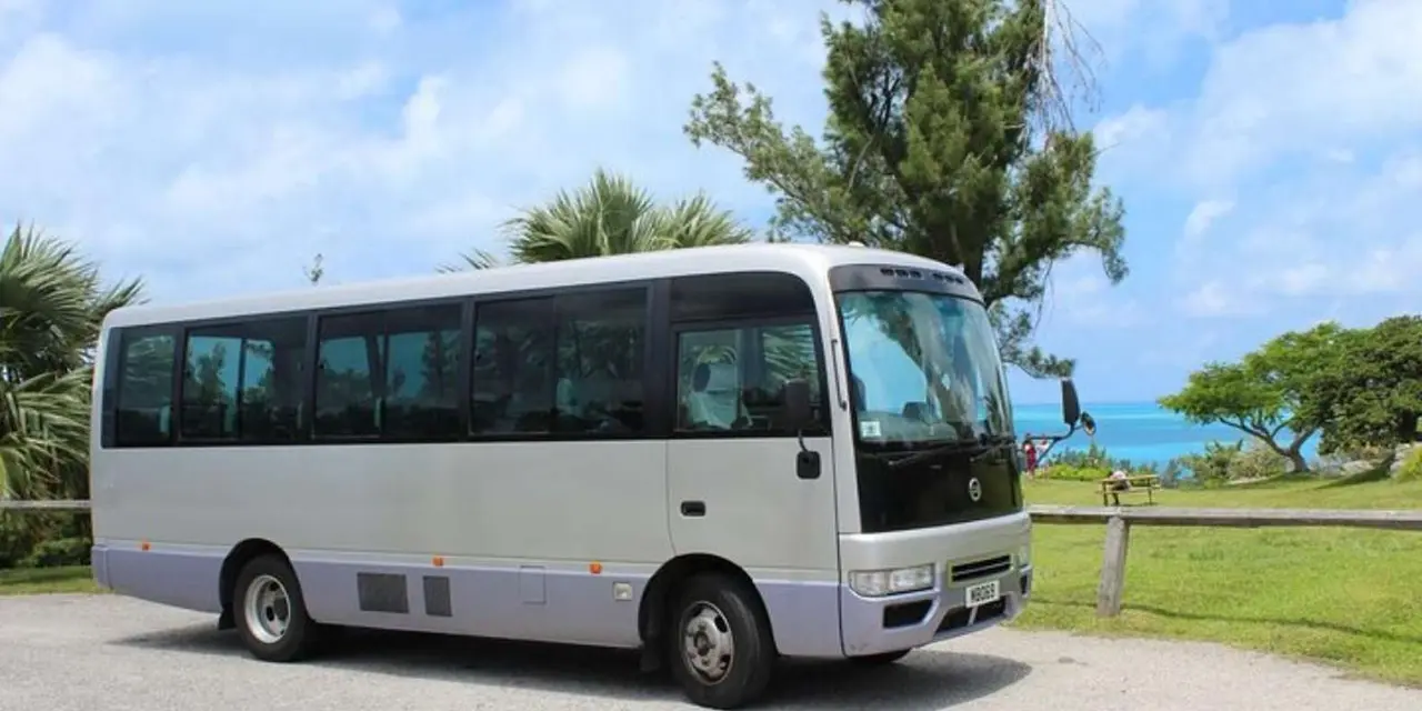 A white minibus parked in a sunny lot with palm trees behind