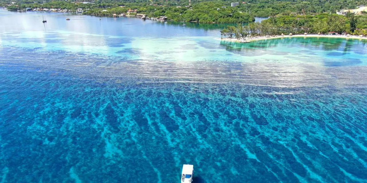 An aerial view of shallow turquoise water over Roatán's reef, with a palm-lined beach and green hillside along the top of the frame
