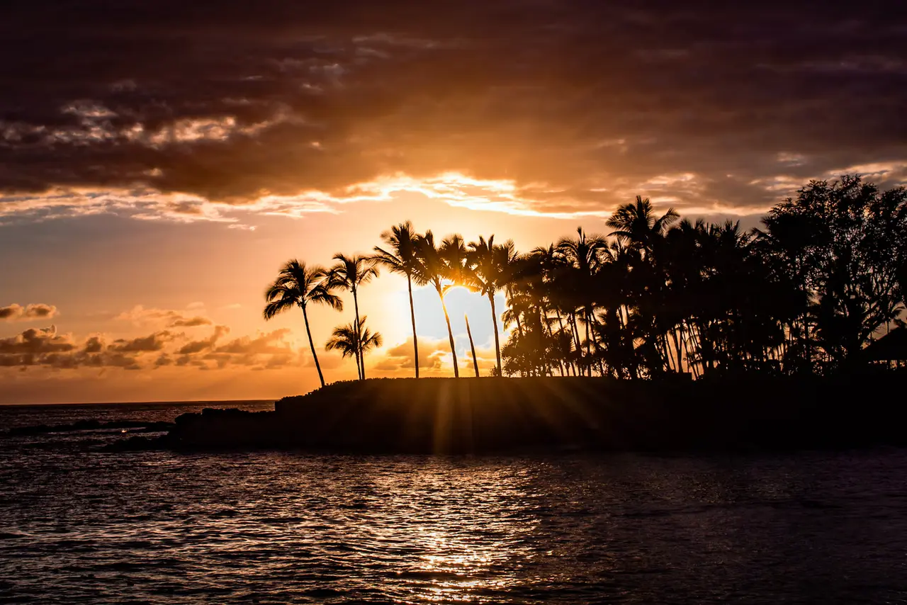 Coconut palms on a low point silhouetted against a golden sunset over the water at Kailua-Kona