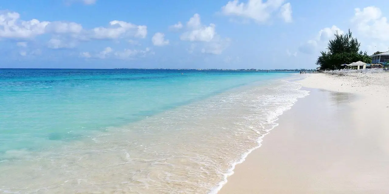 Small waves washing onto an empty white-sand beach beside clear turquoise water, with trees at the far end