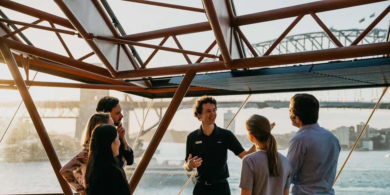 A guide talking to four visitors on a terrace with the harbour behind them