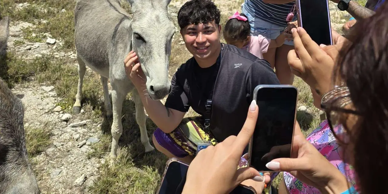 A man smiling beside a grey donkey with a pink flamingo behind them, people holding up phones