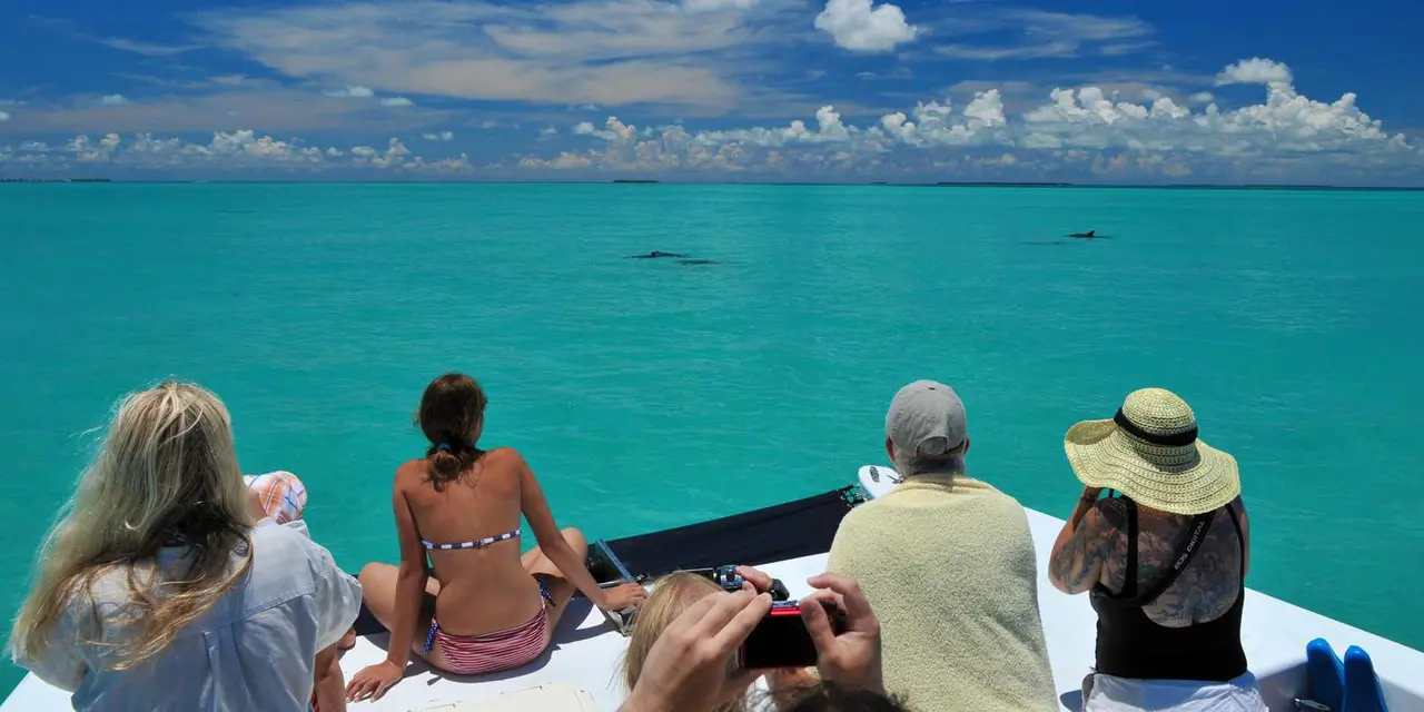 Passengers sitting on the bow of a catamaran watching dolphin fins break the surface of bright turquoise water under a blue, cloud-streaked sky