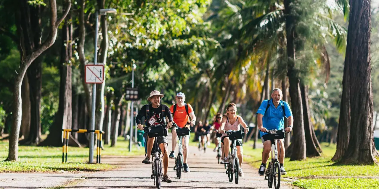 A group of cyclists riding along a palm-lined park path