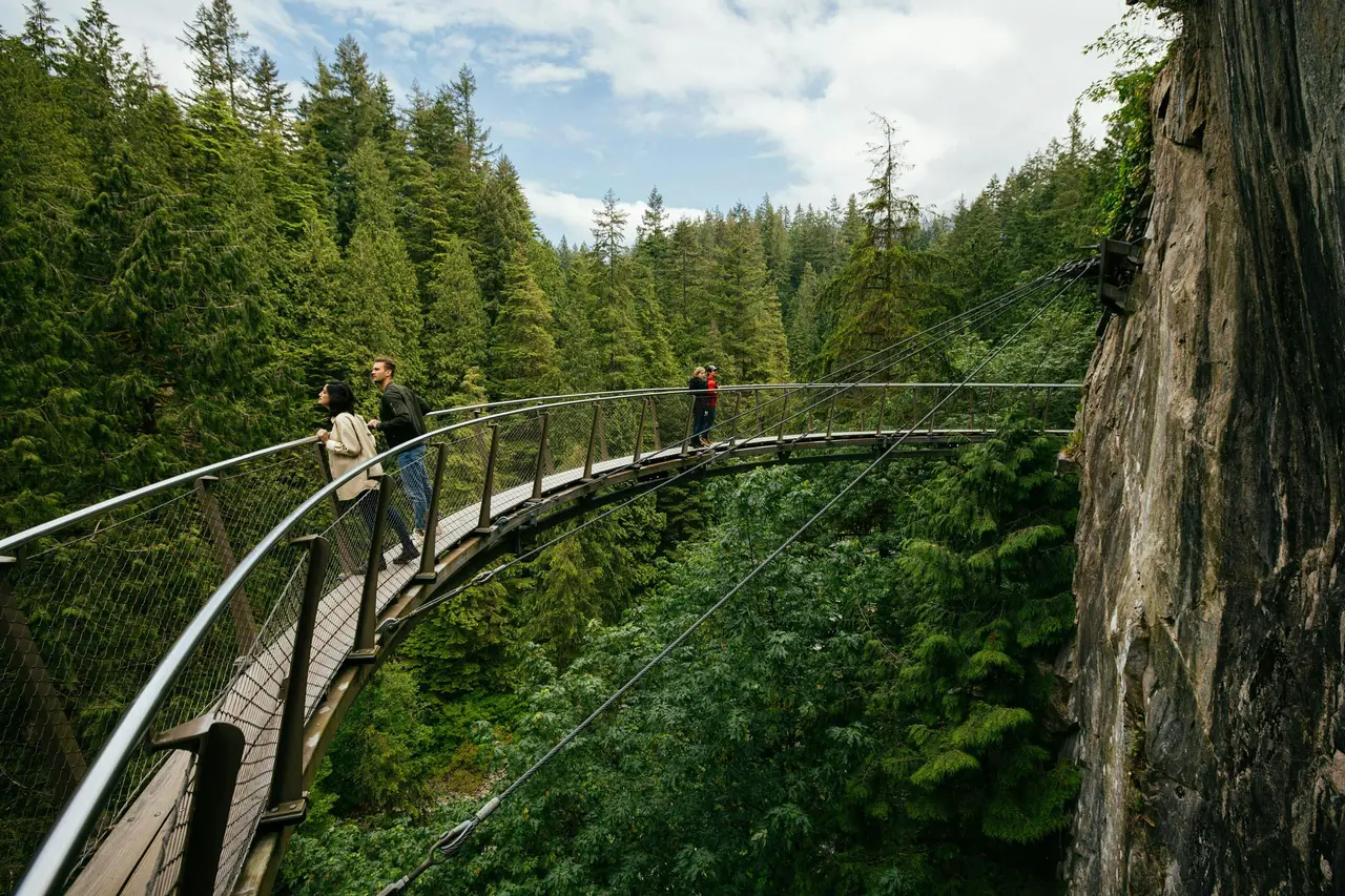 Visitors on a curved steel walkway bolted to a granite cliff, high above a canyon of dense evergreen forest