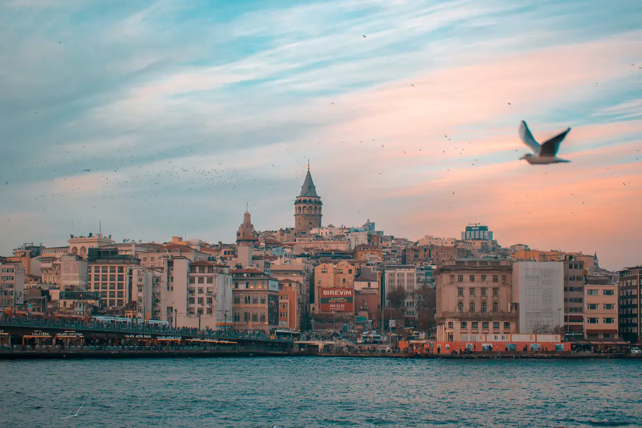 Galata Tower rising above the hillside of Karaköy and Galata across the water, under a pink and blue evening sky with a gull in flight