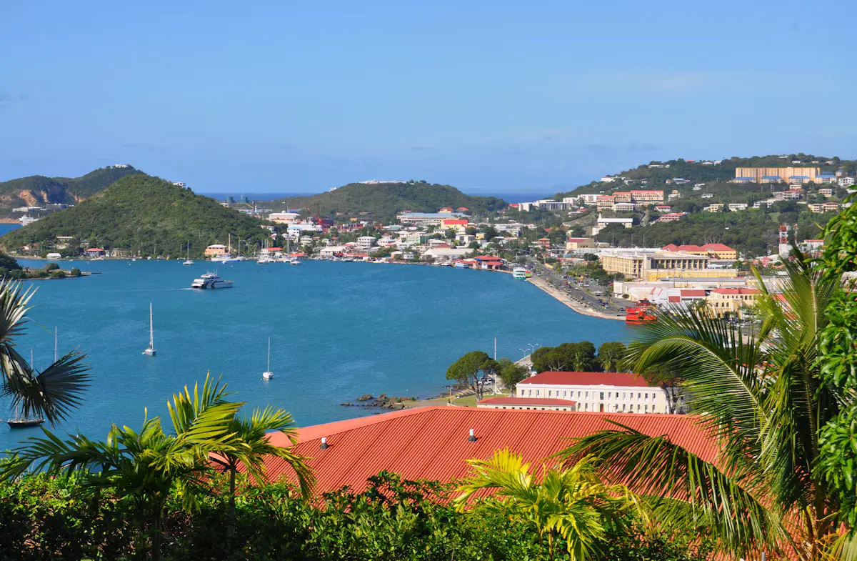 Charlotte Amalie harbor seen from a hillside: red-roofed buildings and palm fronds in the foreground, sailboats on blue water and green hills beyond under a clear sky