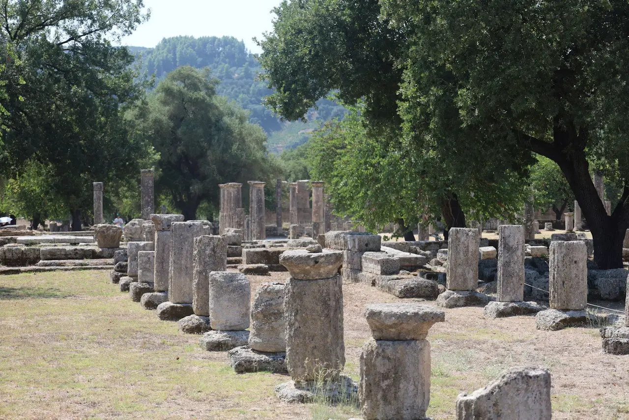 Rows of broken stone columns among tall trees in a grassy grove at Ancient Olympia