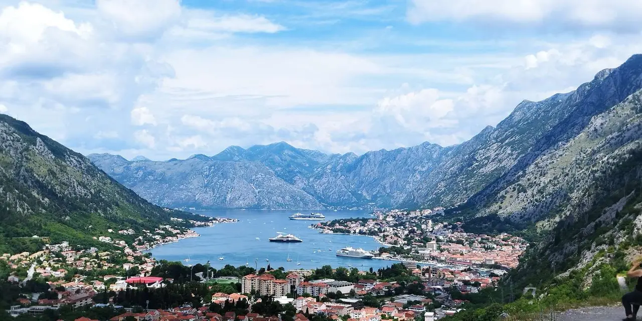 A hillside view over Kotor's bay with cruise ships anchored off the old town