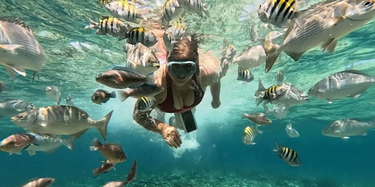 A snorkeller underwater among striped tropical fish in clear blue water