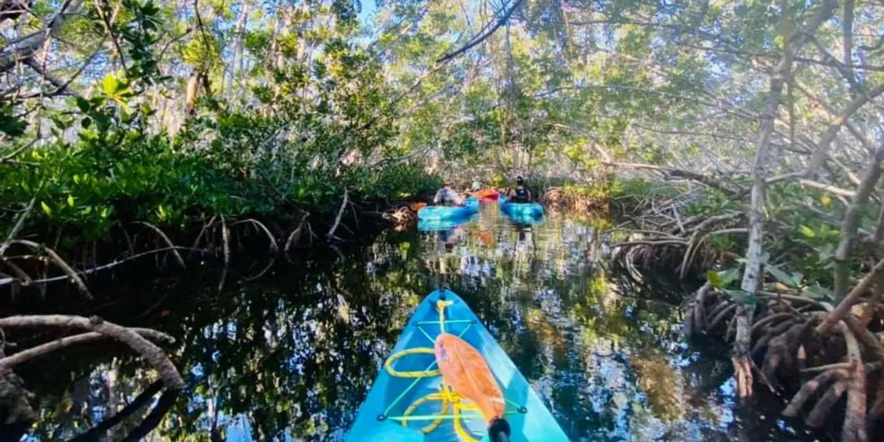 The bow of a turquoise kayak and an orange paddle pointing into a narrow, shaded mangrove channel with other kayaks ahead