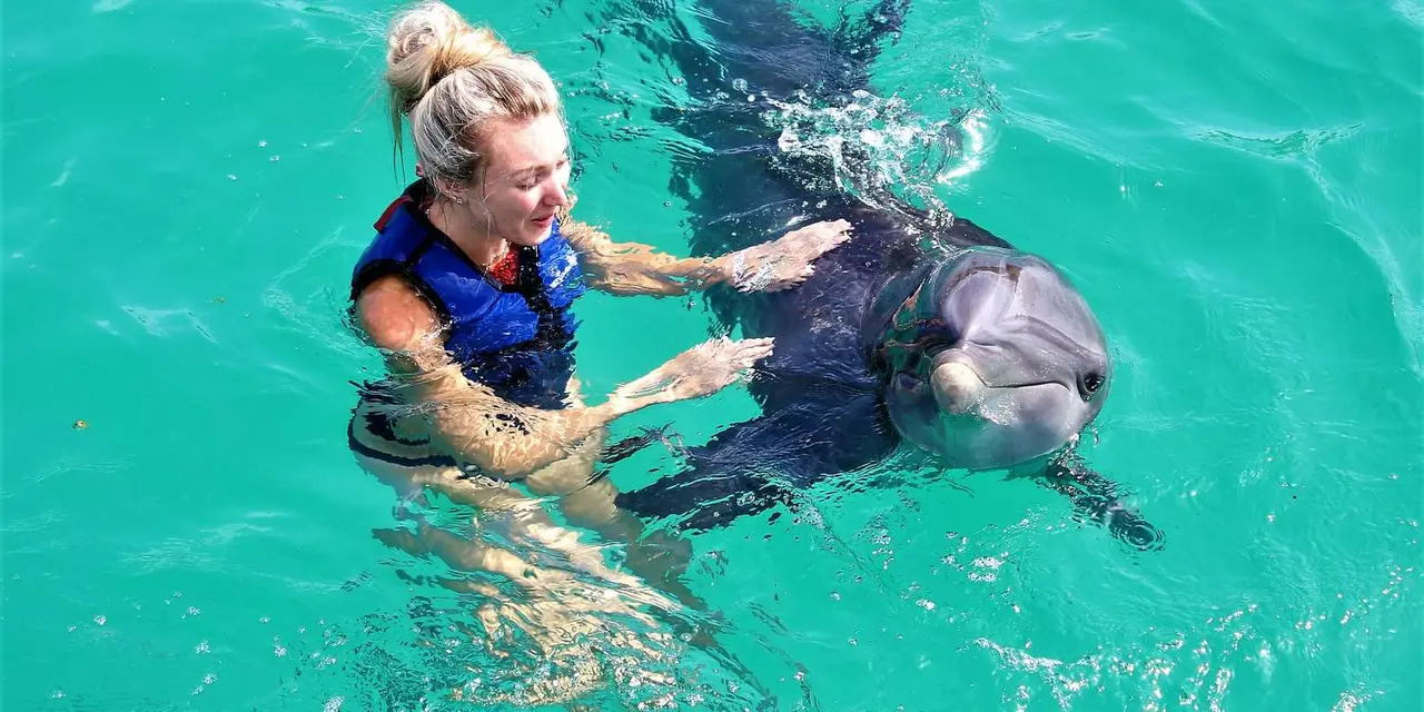 A woman in a blue life vest face to face with a dolphin in bright turquoise water