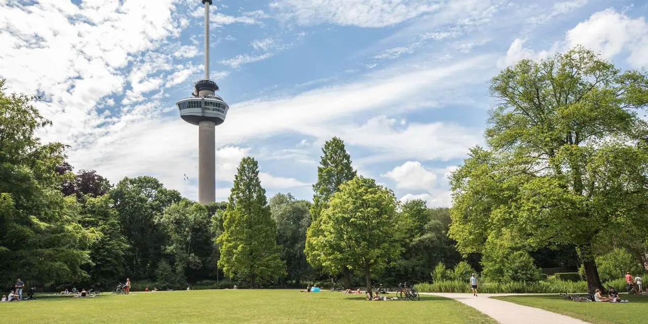 The slim Euromast tower with its round viewing pod rising above green trees and a lawn where people sit, under a blue sky with thin cloud