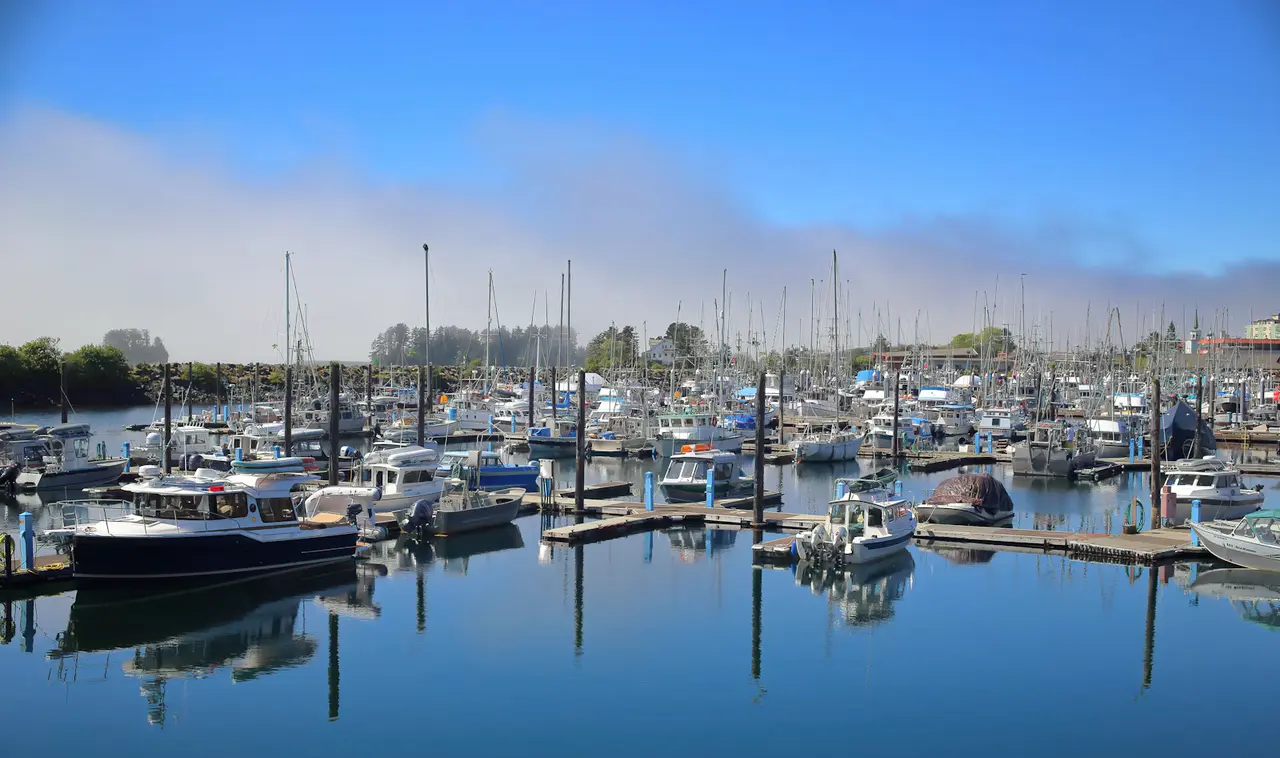 Sitka's small-boat harbor on a clear morning, with rows of fishing boats and sailboats moored at floating docks under a blue sky and a low band of mist