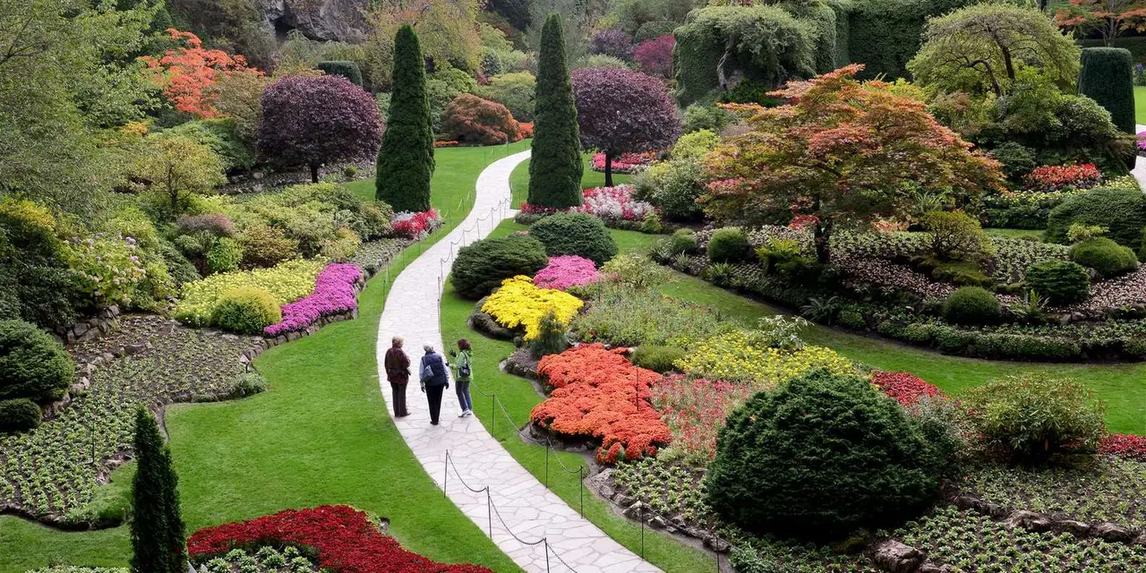 A path winding between colourful flower beds and trees in the Sunken Garden at Butchart Gardens