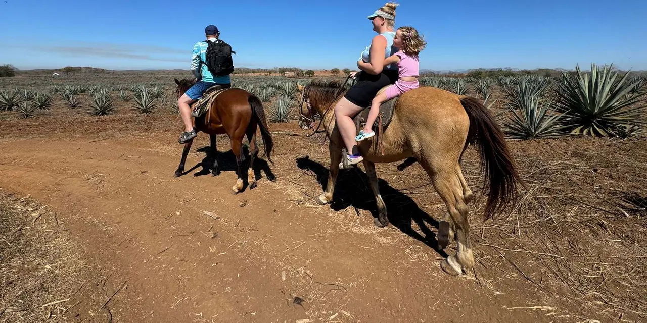 Two riders on horses, one with a child in front, on dry ground among rows of agave plants