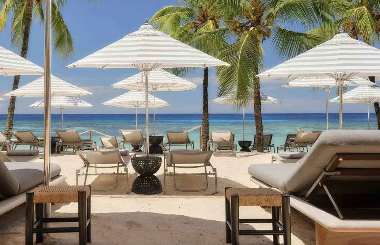 White-striped beach umbrellas and loungers on a palm-fringed resort beach, with the sea and a few clouds behind
