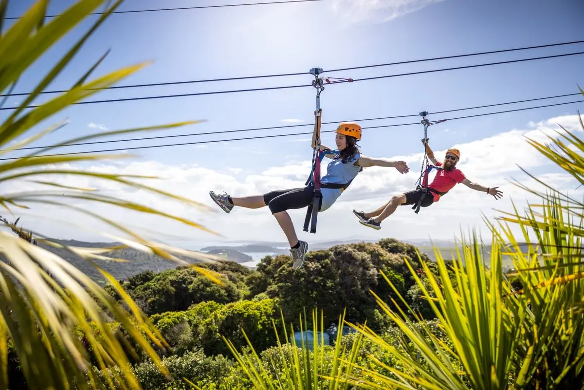 Two people in helmets riding side-by-side ziplines above native bush, with the sea in the distance