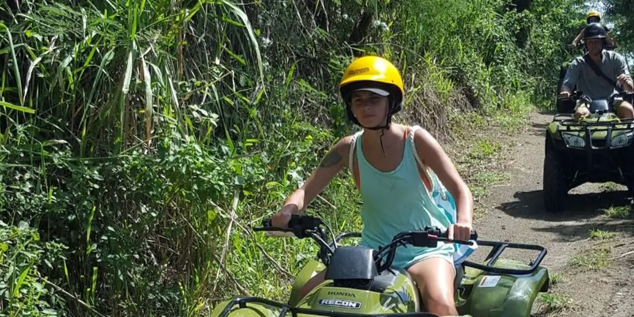 A rider in a yellow helmet on an ATV on a leafy trail