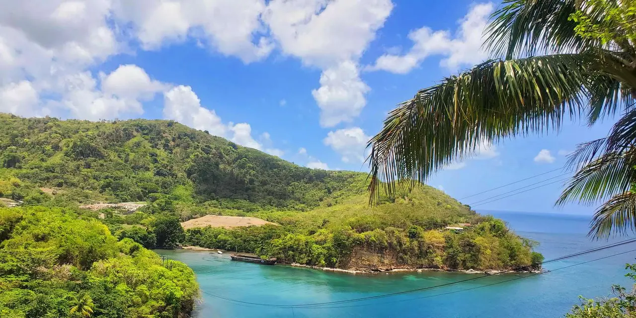A green bay framed by palm fronds under a blue sky in Grenada