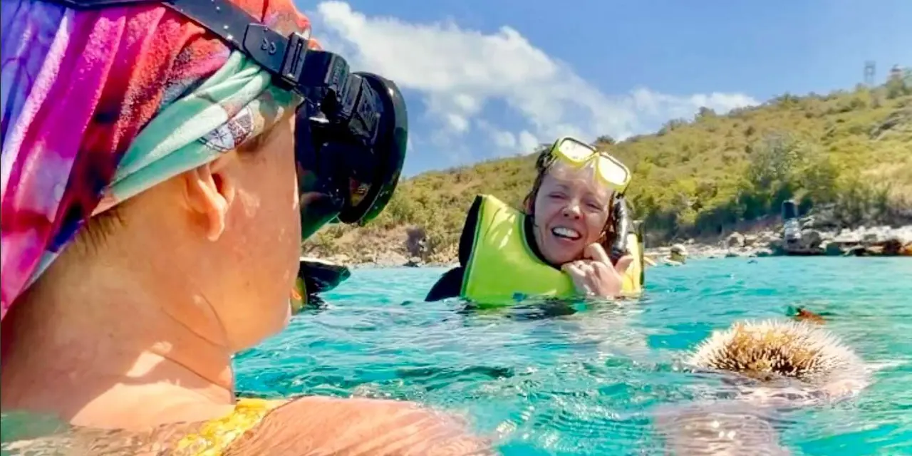 Snorkelers in masks and yellow vests floating at the surface of turquoise water below a scrub-covered hillside