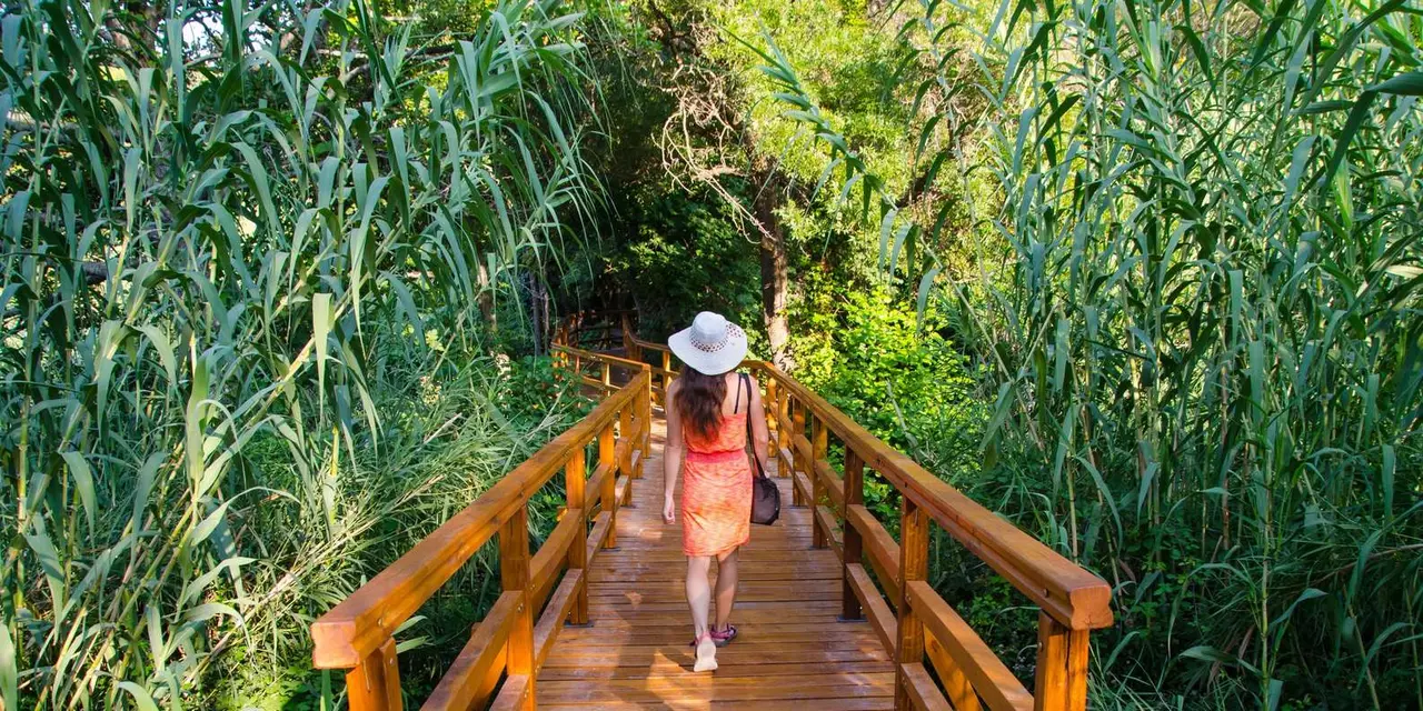A woman in a hat walking along a wooden boardwalk through tall reeds in Krka National Park