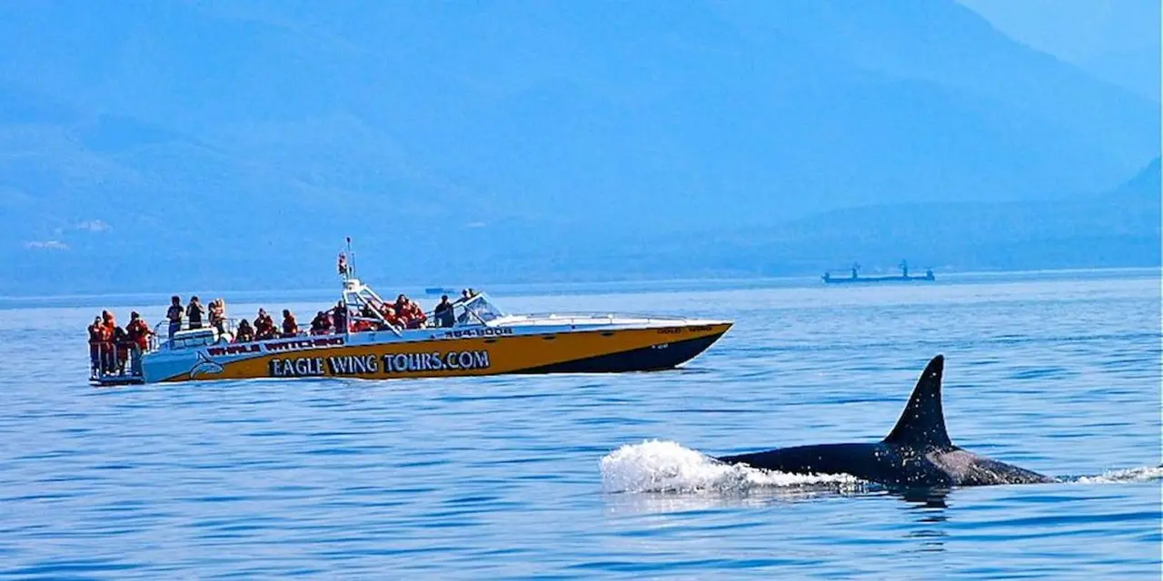 An open tour boat full of passengers on calm blue water with mountains behind