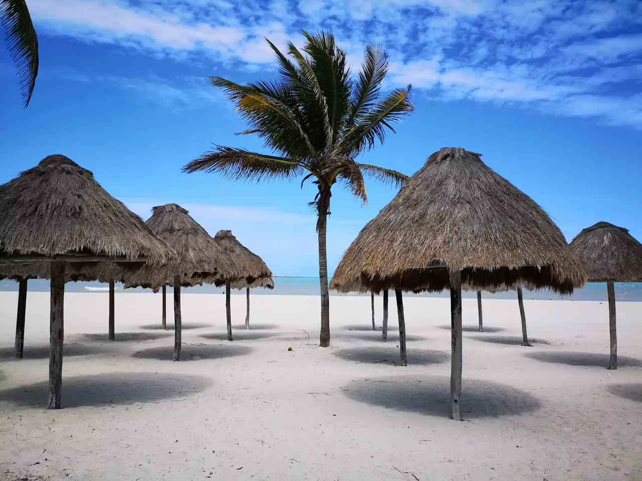 Rows of palm-thatched beach umbrellas and a palm tree on white sand under a deep blue sky in Progreso