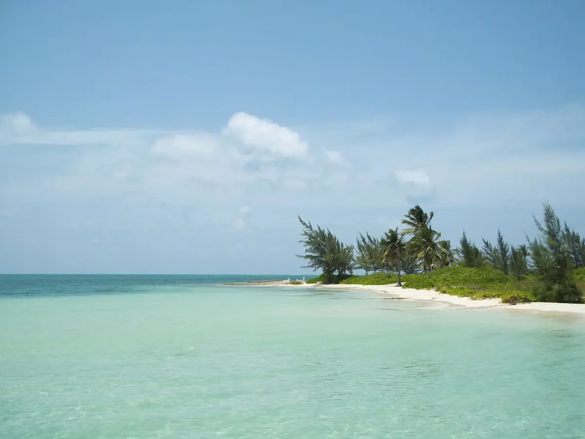 A low sandy point with palms and casuarina trees reaching into pale turquoise shallows in the Cayman Islands, under a wide sky with scattered clouds