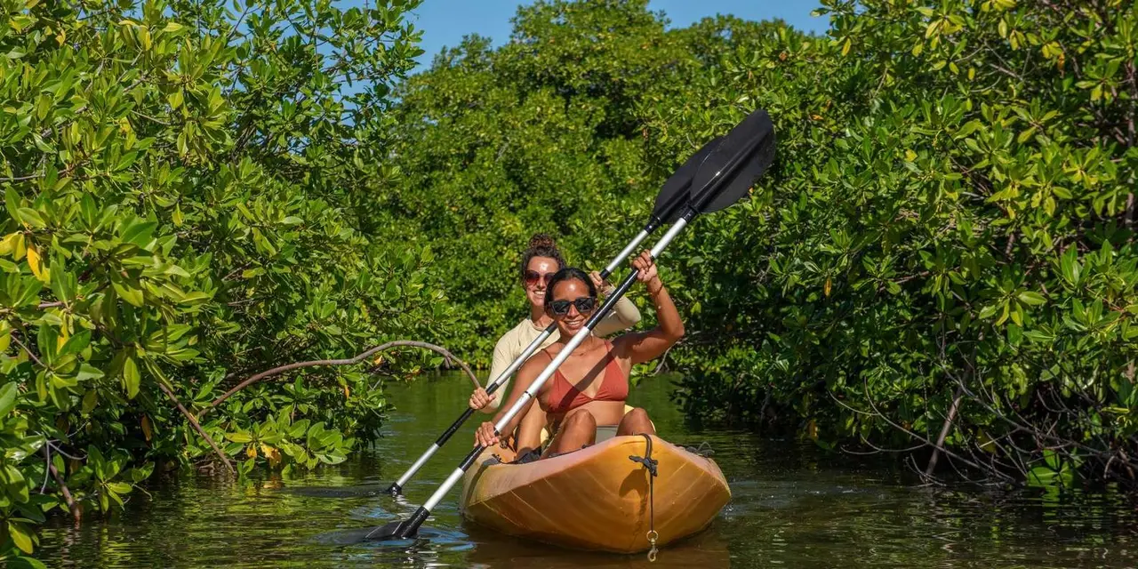 Two people paddling a yellow kayak among green mangroves