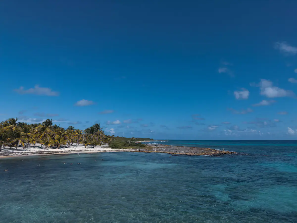 A white-sand Caribbean beach lined with coconut palms along a rocky point, with turquoise shallows in the foreground under a wide blue sky, near Mahahual