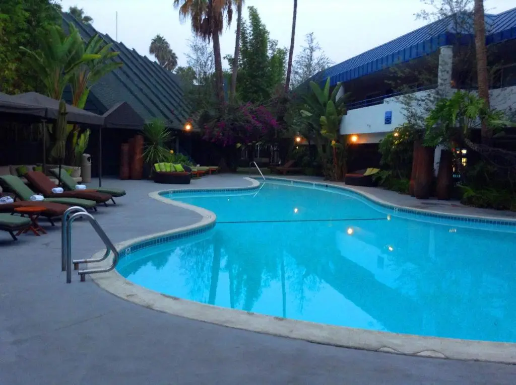 Hotel Current's curved blue pool at dusk, ringed by loungers, palms and flowering bougainvillea