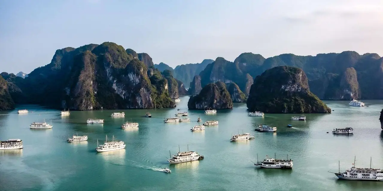 High view of many white tour boats on green water between steep forested limestone islands in Ha Long Bay
