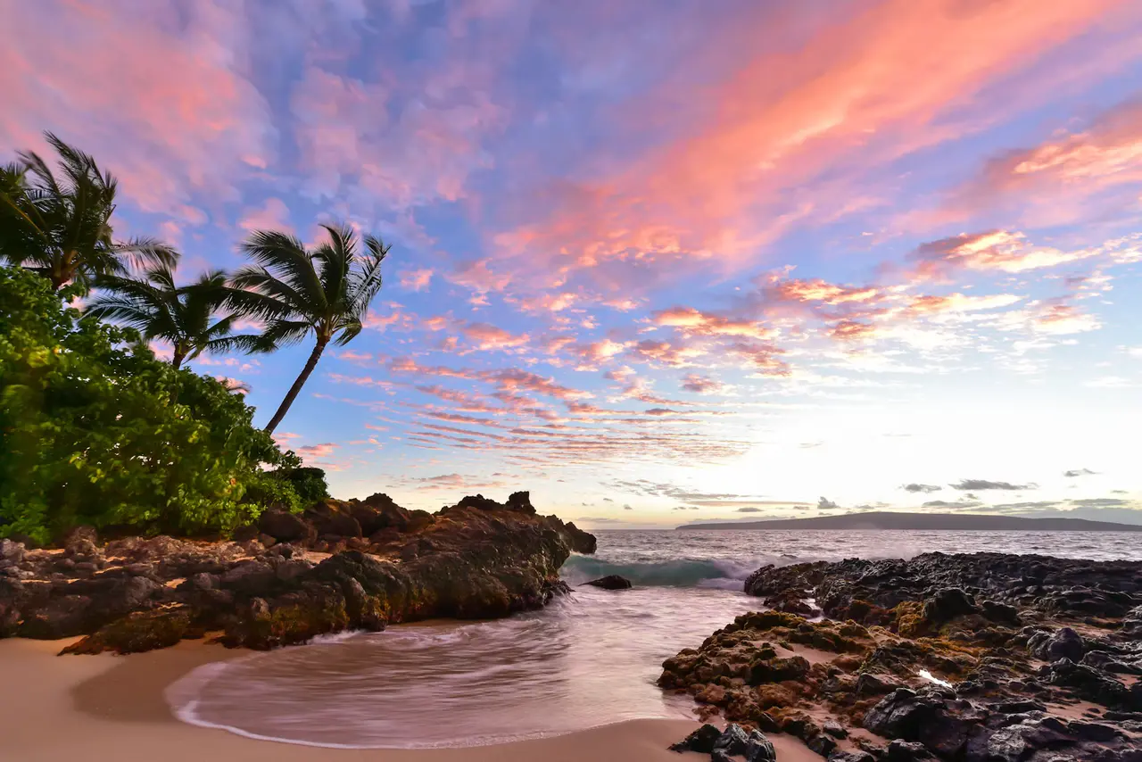 Pink and orange clouds over a small sandy cove on Maui, with lava rock on both sides, a line of palm trees leaning over the left and a hazy island on the horizon