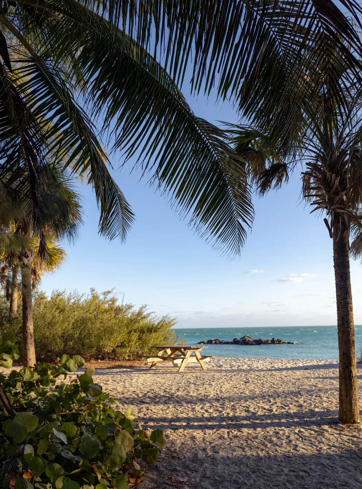 A sandy Key West beach framed by palm fronds, with a wooden picnic table, a dark rock jetty and turquoise water under a blue sky