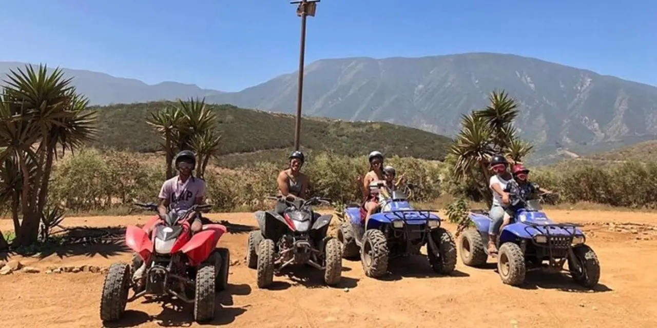 Several riders on ATVs on a dirt lot with palm trees and mountains behind under a blue sky