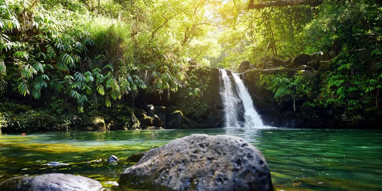 A two-strand waterfall falling into a clear green pool in a sunlit rainforest, with a dark boulder in the foreground