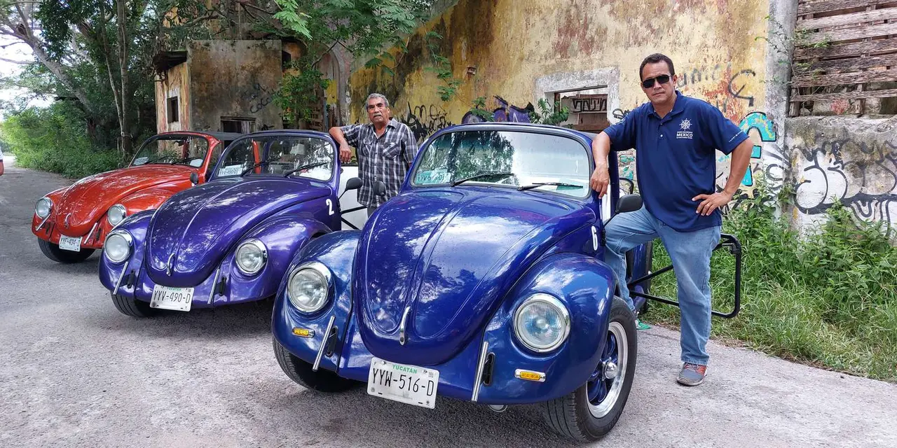 Two men standing beside blue vintage Volkswagen Beetles parked on a road lined with trees