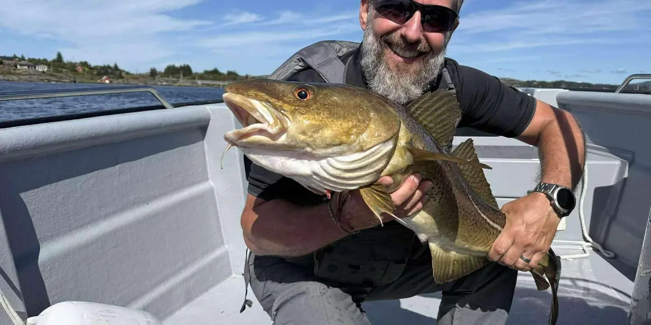 A smiling man holding a large cod on the deck of a boat