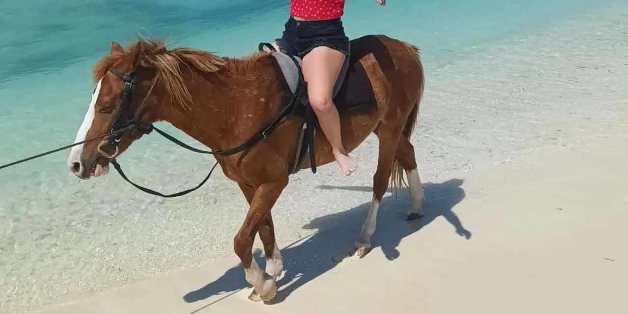 A woman in a red top riding a brown horse along the water's edge on a pale sand beach