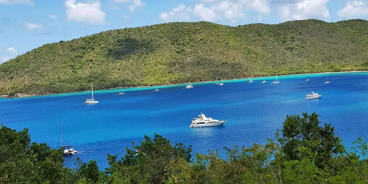 A deep blue St. John bay dotted with anchored sailboats and a white yacht, framed by treetops and a green hillside