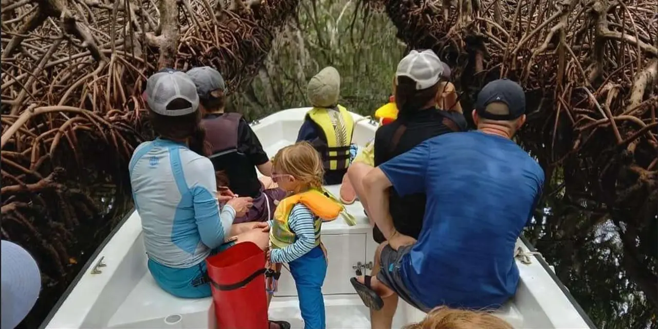 A small white boat of visitors in life jackets, including a child at the front, drifting between mangrove roots