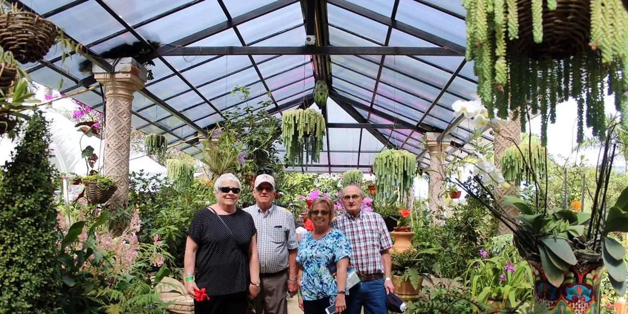 Four visitors standing in a glass-roofed garden among hanging plants