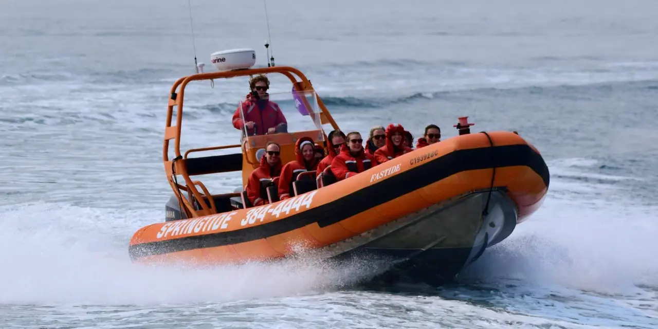 An orange Zodiac full of passengers in red suits speeding across grey water