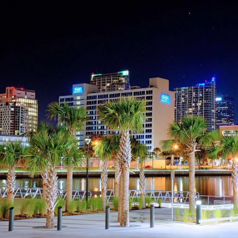 The Barrymore Hotel's tower lit up at night behind palm trees on the Tampa Riverwalk, across the Hillsborough River