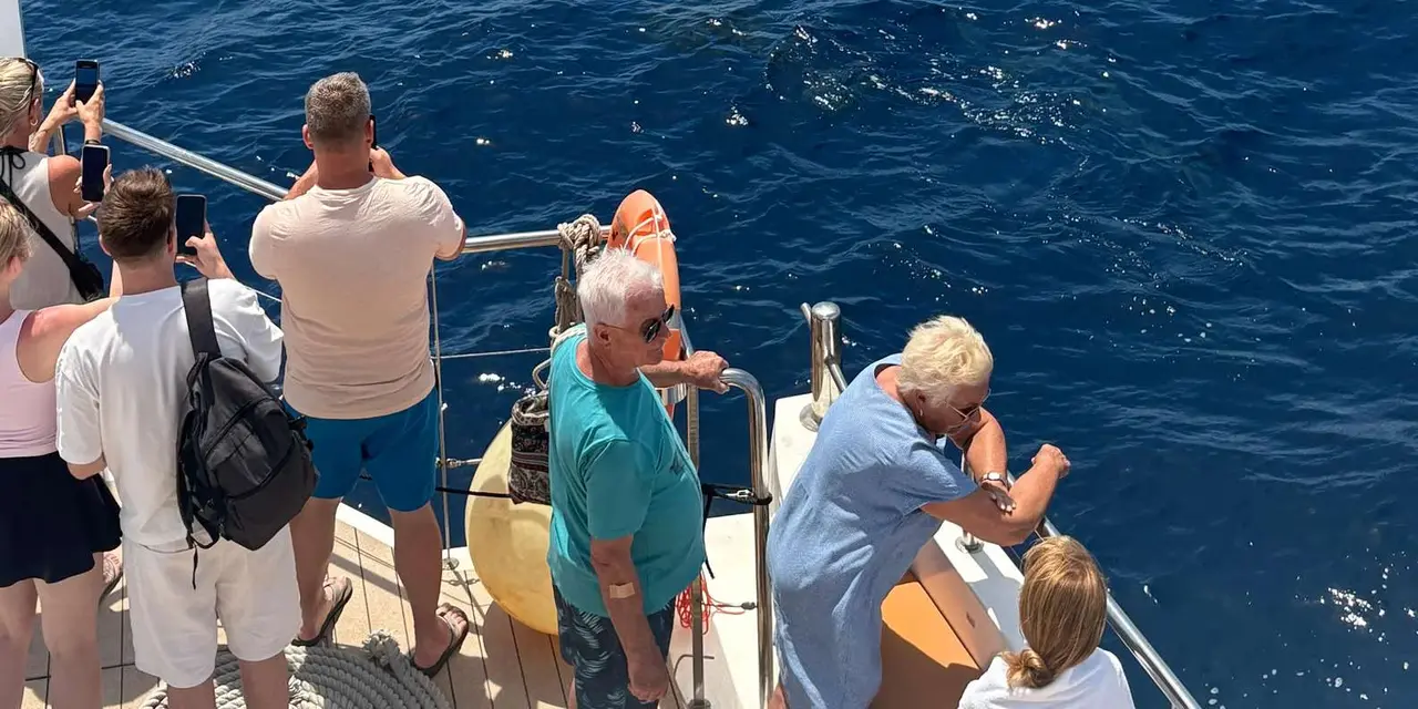 Passengers at the rail of a boat looking out over deep blue sea