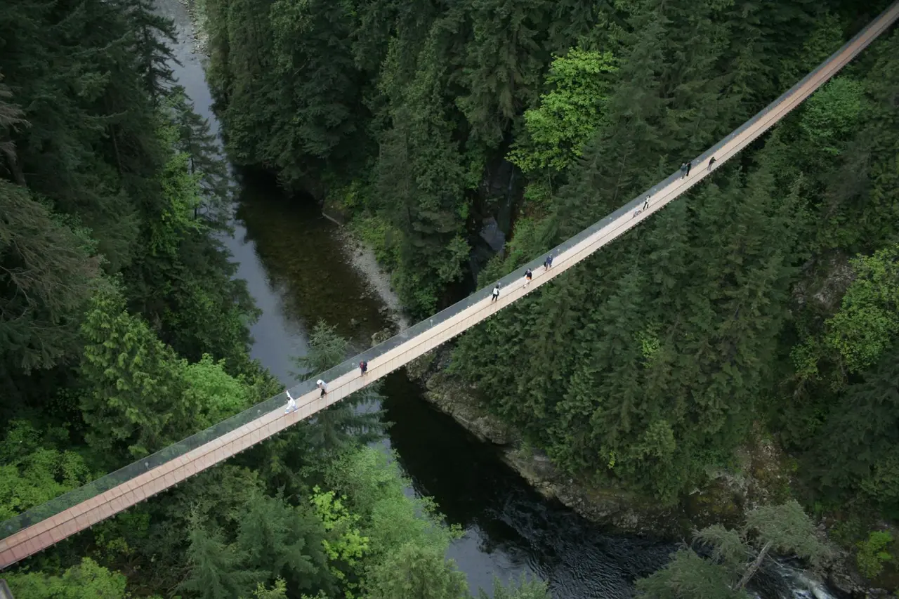 The Capilano suspension bridge seen from above, strung across a river canyon thick with evergreens