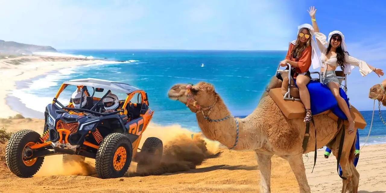 A camel carrying two riders beside an orange off-road UTV kicking up sand on a beach above the Pacific