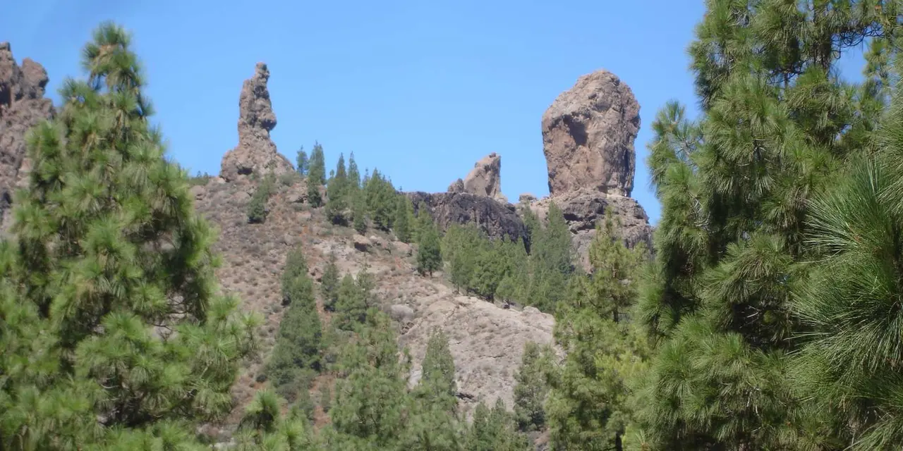 The rock pinnacles of Roque Nublo rising above a pine forest under a blue sky